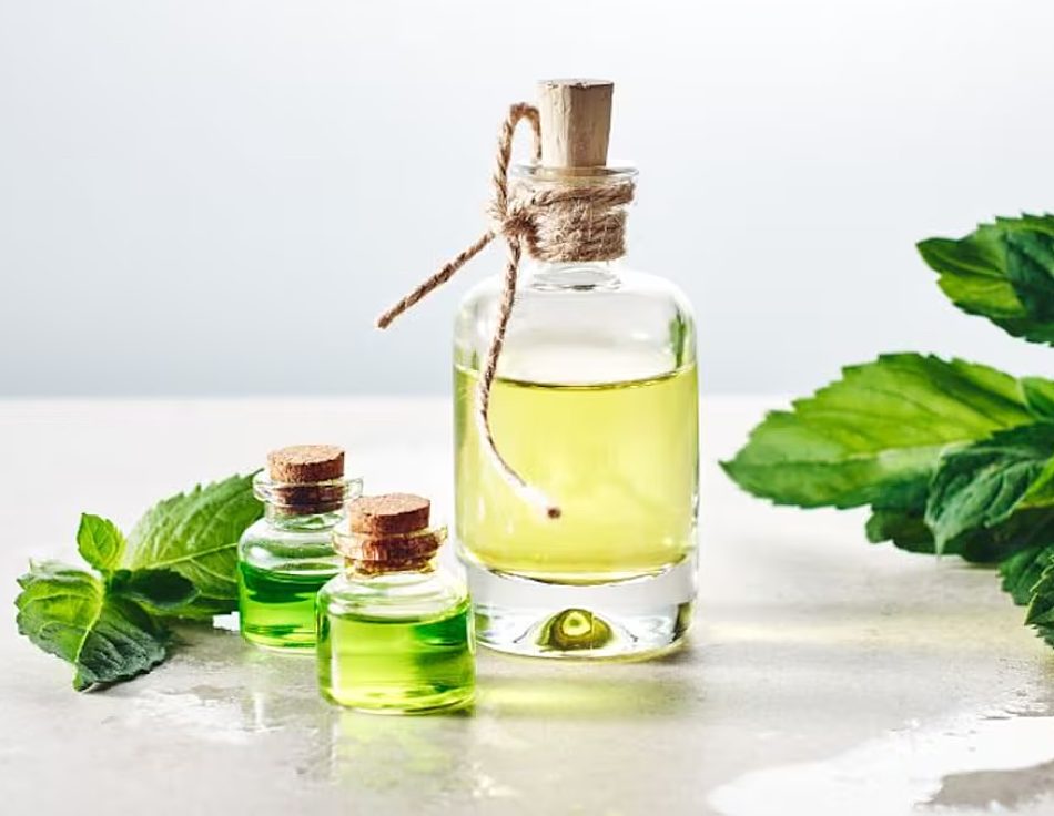 Aromas naturales para mantener a los roedores lejos de tu Hogar 1 | Cortesía Aromas naturales para mantener a los roedores lejos de tu Hogar
